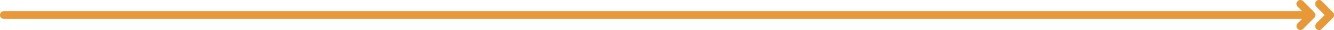 decorative underline